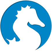 专业版本的网页DDOS攻击平台